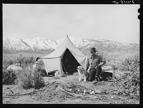 A man sits beside a dog in front of a tent, with mountains in the background and scattered camping gear nearby.