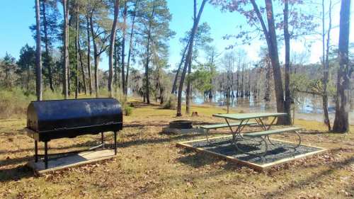 A picnic area with a grill and a picnic table by a river, surrounded by trees and open grass.