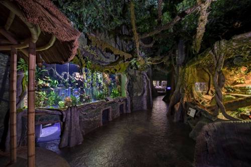 A lush, indoor jungle exhibit with greenery, pathways, and displays of plants and aquatic life.