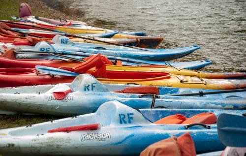 Colorful kayaks lined up along the shore of a body of water, with some featuring orange life jackets.