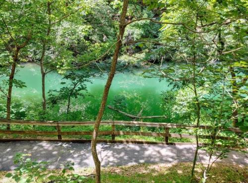 Lush green trees surround a serene river, with a wooden path winding alongside the water.