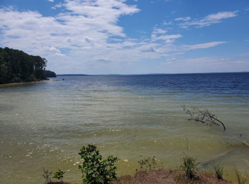 A serene view of a lake with gentle waves, surrounded by trees and a clear blue sky.