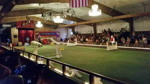 A spacious indoor arena with a green carpet, featuring a performance area and an audience watching a show.