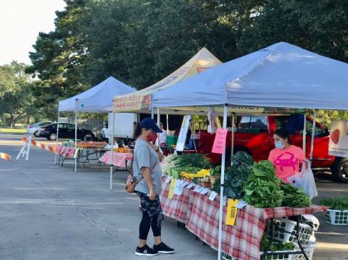 A woman in a mask browses fresh produce at an outdoor farmers market with tents and tables.