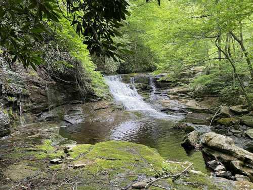 A serene waterfall cascades into a calm pool, surrounded by lush green foliage and rocky terrain.