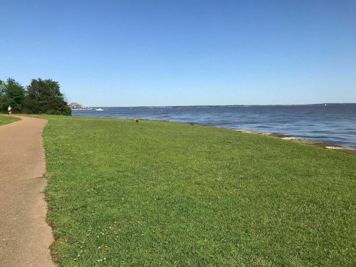 A scenic view of a grassy shoreline beside a calm body of water under a clear blue sky.