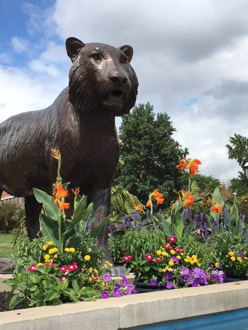 A large bronze bear statue surrounded by colorful flowers and greenery under a partly cloudy sky.