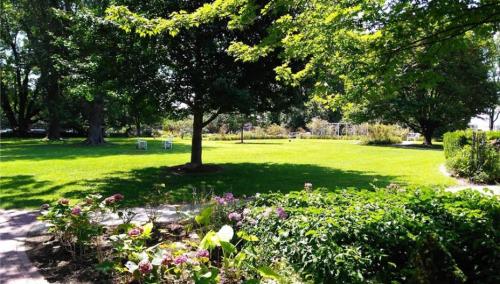 A sunny park scene with lush green grass, trees, and colorful flowers in the foreground.