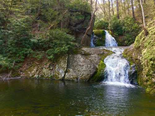 A serene waterfall cascades over mossy rocks into a calm pool, surrounded by lush greenery and trees.