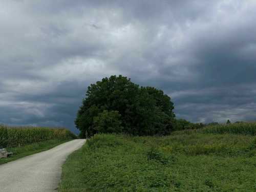 A winding path leads through lush greenery under a cloudy sky, with a large tree in the distance.