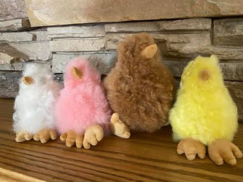 Four colorful plush chicks in white, pink, brown, and yellow, sitting on a wooden surface against a stone background.