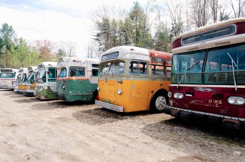 A row of vintage buses in various colors parked in a wooded area, some showing signs of wear and age.