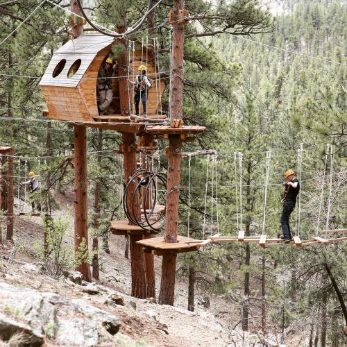 A treetop adventure course with wooden structures and ropes, surrounded by tall trees and mountainous scenery.