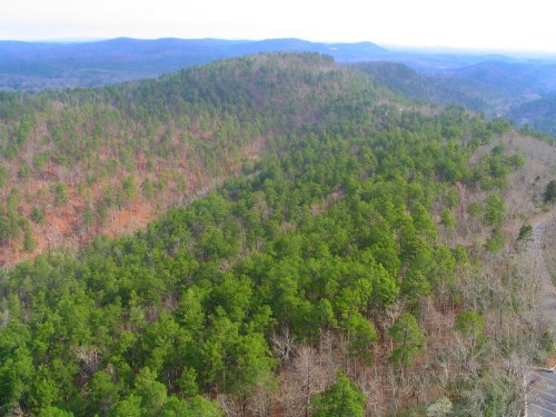 Aerial view of lush green hills and trees, with distant mountains under a clear sky.