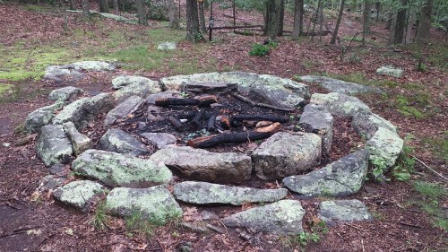 A circular stone fire pit surrounded by forest, with remnants of burnt wood and leaves on the ground.