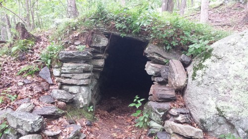 A stone entrance to a dark cave, surrounded by greenery and forest debris.