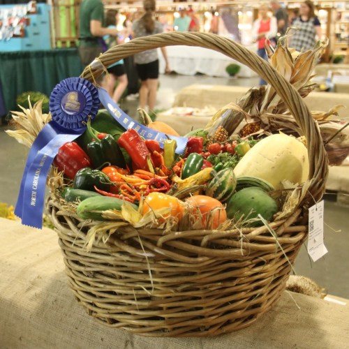 A woven basket filled with colorful vegetables and a blue ribbon, displayed at a fair or market.