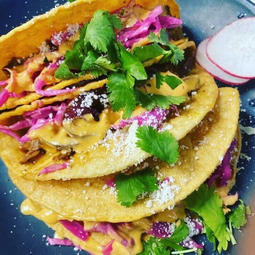 Three tacos topped with purple cabbage, cilantro, cheese, and a creamy sauce, served on a blue plate with a radish.