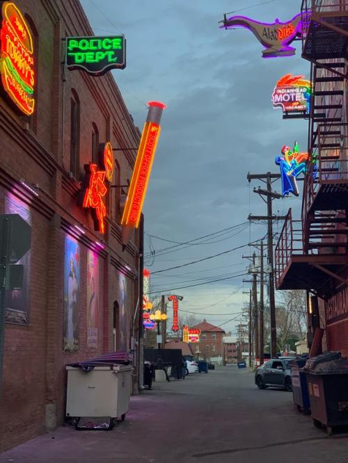 Neon signs illuminate a narrow alleyway, featuring a police department sign and various colorful advertisements.