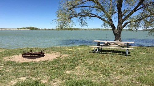 A serene lakeside scene featuring a picnic table, a fire pit, and a tree by the water under a clear blue sky.