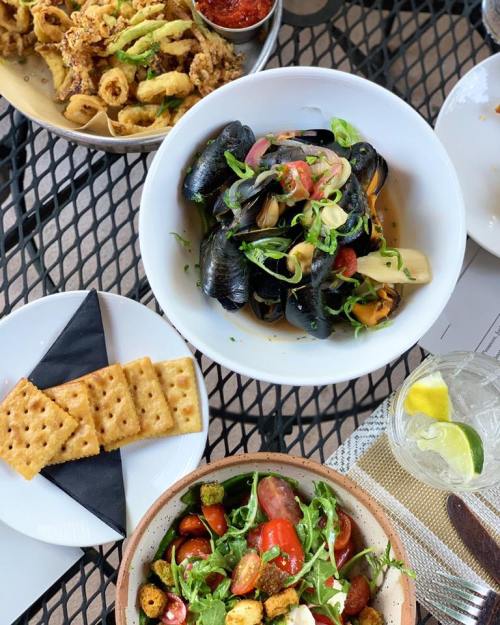A table spread featuring mussels, fried calamari, a salad, and crackers, with a drink in the background.