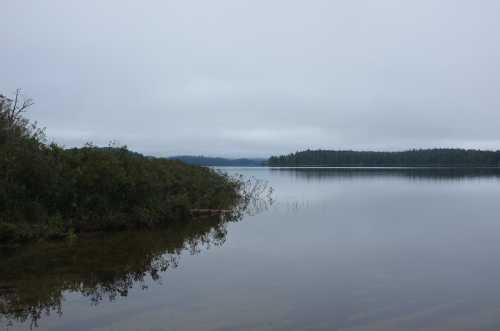 A calm lake surrounded by greenery under a cloudy sky, reflecting the serene landscape.