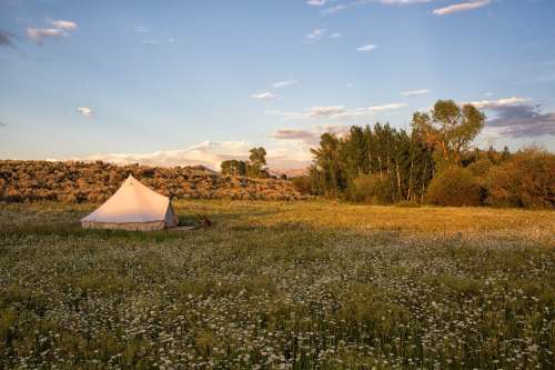 A white tent in a grassy field surrounded by trees and a blue sky with scattered clouds at sunset.