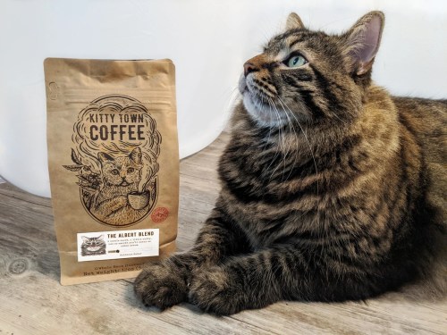 A tabby cat gazes at a bag of Kitty Town Coffee, featuring a cat illustration and the label "The Albert Blend."