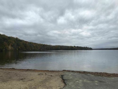 A calm lake surrounded by trees with autumn foliage under a cloudy sky.