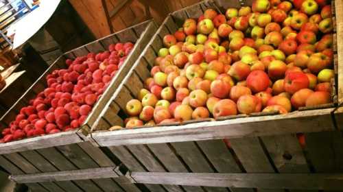 Two wooden crates filled with red and green apples, stacked in a market setting.