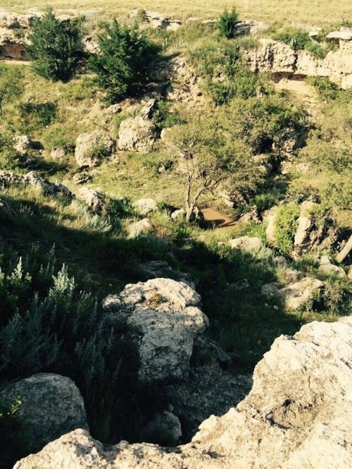 A rocky landscape with sparse vegetation and a small pond surrounded by greenery in a natural setting.
