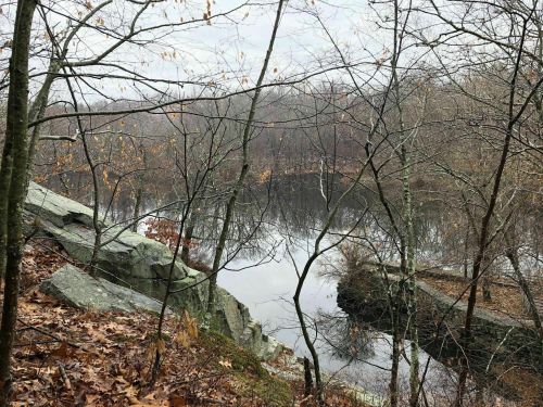 A serene landscape featuring a calm lake surrounded by bare trees and rocky outcrops, with autumn leaves scattered on the ground.
