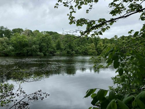 A tranquil river scene surrounded by lush green trees under a cloudy sky. Reflections shimmer on the water's surface.