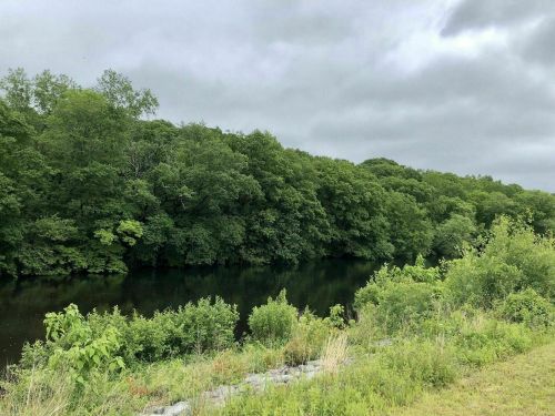 A serene river bordered by lush green trees under a cloudy sky.