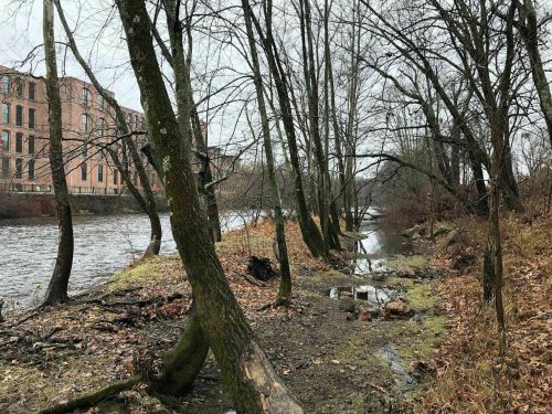 A riverbank scene with bare trees, muddy ground, and a brick building in the background on a cloudy day.