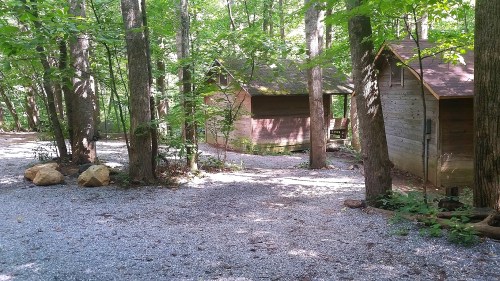 Two rustic wooden cabins nestled among lush green trees, with a gravel path and rocks in the foreground.