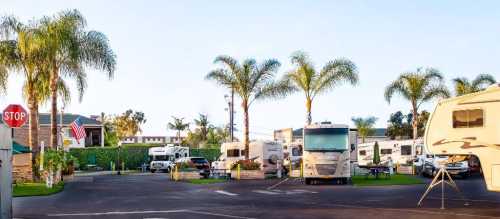 A sunny RV park with palm trees, parked RVs, and a stop sign, creating a relaxed outdoor atmosphere.