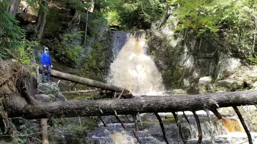 A person in a blue shirt stands near a waterfall surrounded by trees and fallen logs in a natural setting.