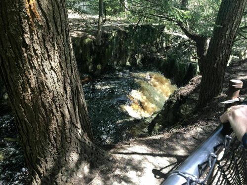 A serene forest scene featuring a flowing river surrounded by trees and rocky banks.