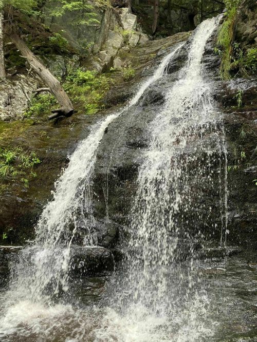 A serene waterfall cascading down rocky terrain, surrounded by lush greenery and trees.