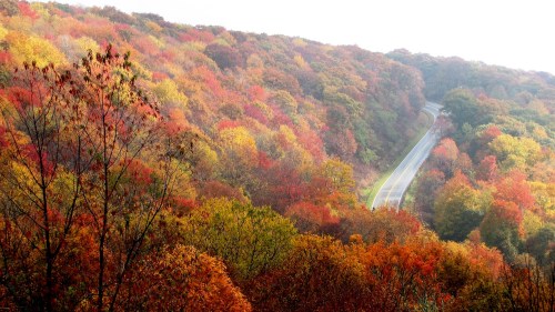 A winding road through vibrant autumn foliage in shades of red, orange, and yellow.