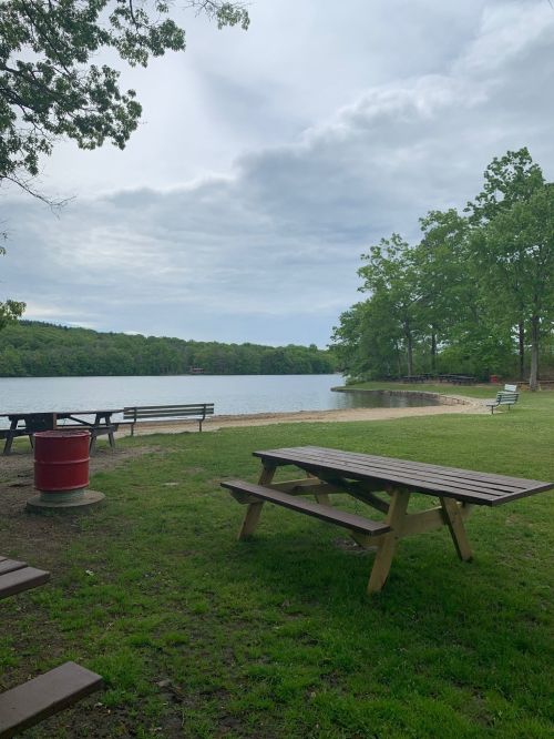 A serene lakeside view with picnic tables, benches, and trees under a cloudy sky.