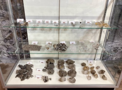 Display case showcasing various mineral specimens on glass shelves, labeled for identification.
