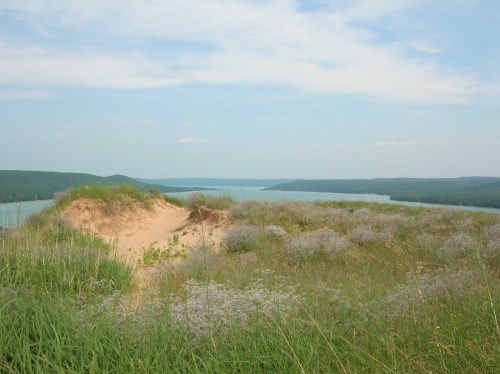 A sandy dune surrounded by green grass and wildflowers, overlooking a calm blue lake and distant hills under a cloudy sky.