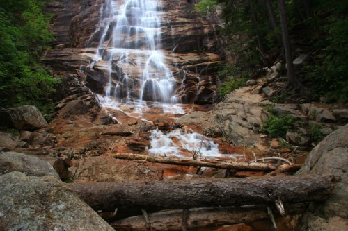 A cascading waterfall flows over rocky terrain, surrounded by lush greenery and fallen logs.