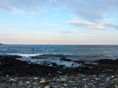 A rocky shoreline with calm waves under a pastel sky, featuring distant land and a lighthouse on the horizon.