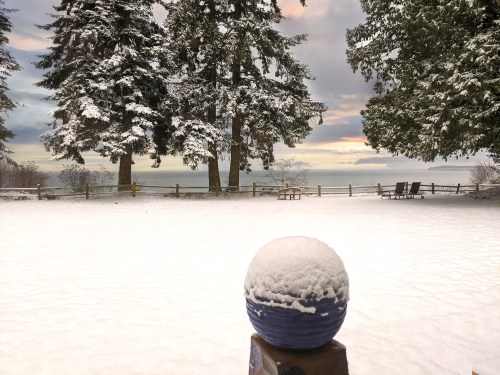 A snowy landscape with tall trees, a blue decorative sphere, and a view of the water under a cloudy sky.