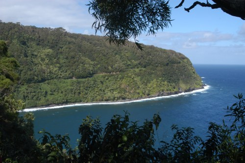 Lush green coastline with waves gently lapping at the shore under a clear blue sky.