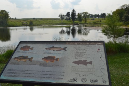 A sign about fishing at Thomas Mitchell Lake, with illustrations of fish species and a scenic pond in the background.