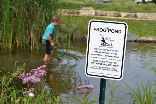 A child wades in a pond near a sign that reads "Frog Pond," encouraging exploration and play in the water.